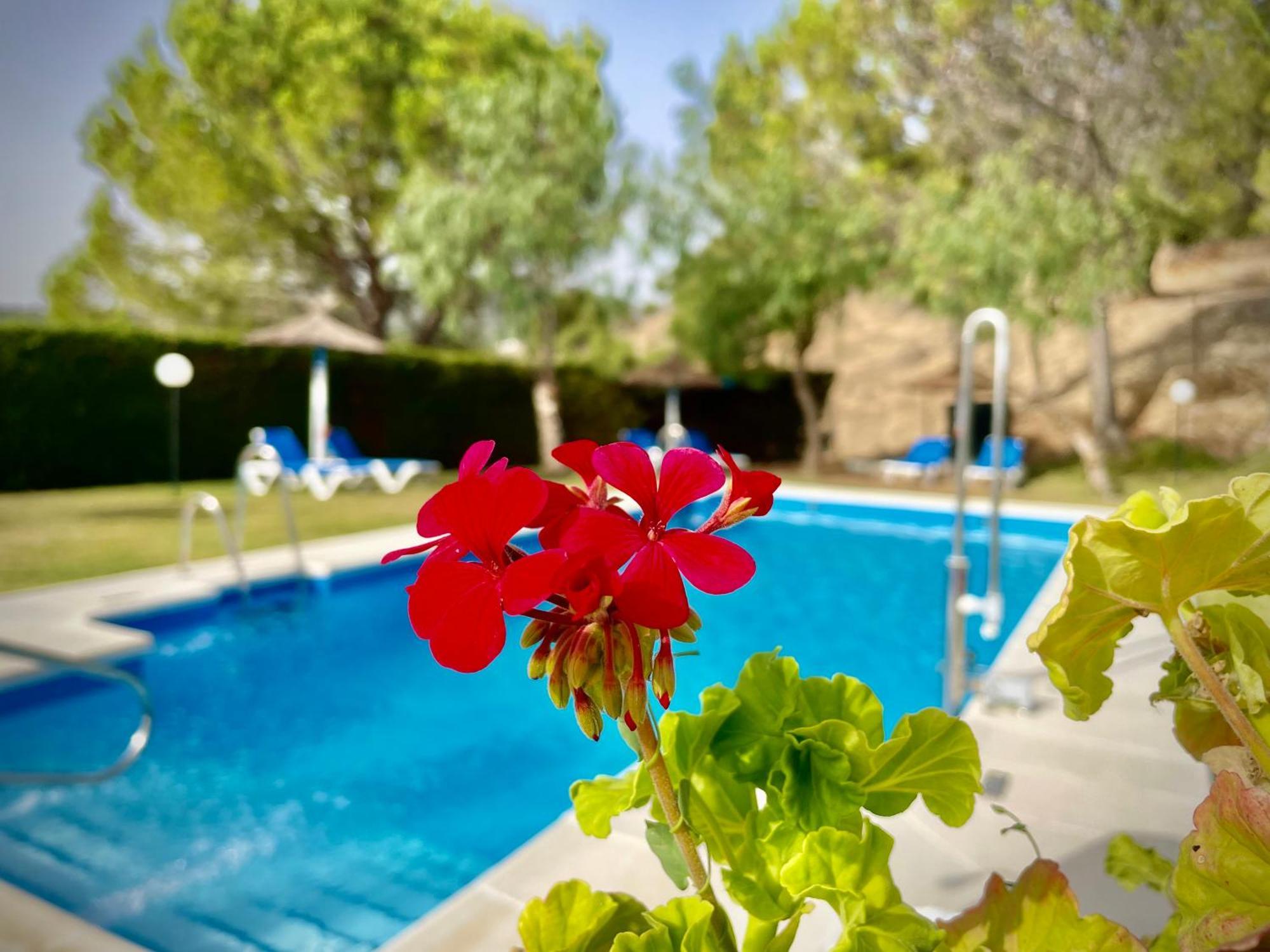 Hotel Tugasa Villa De Algar Exteriör bild